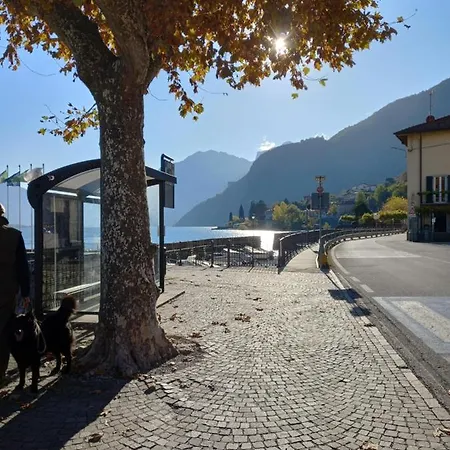 Casa Max Апартаменты *