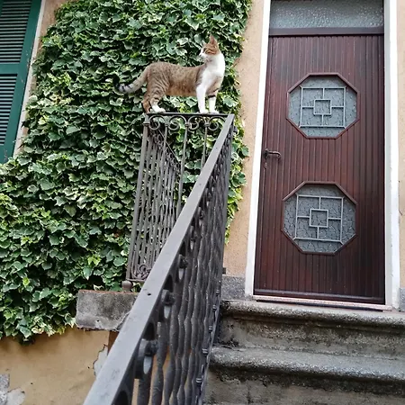 Casa Max Апартаменты Onno